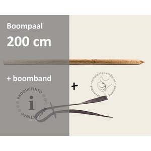 Toebehoren Leibomen los bestellen - Paal 200 cm + Band