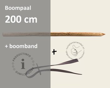 Toebehoren Leibomen los bestellen - Paal 200 cm + Band
