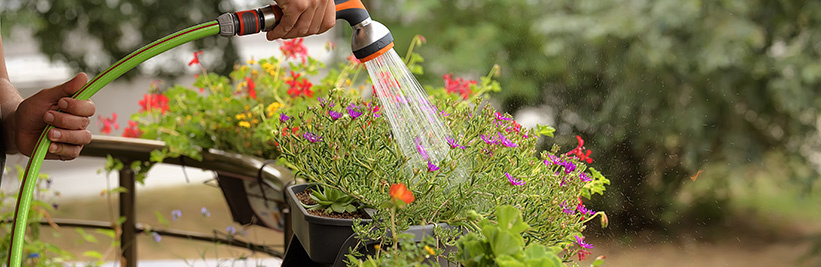 Planten voor op een balkon