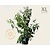 Heptacodium miconioides - XL