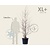 Viburnum plicatum 'Kilimandjaro' - XL+