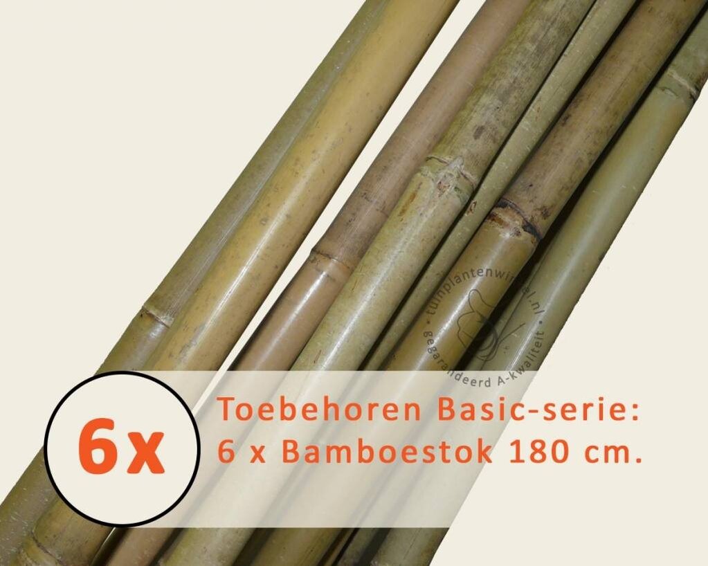 Toebehoren Leibomen Basic los bestellen - Bamboestok