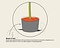 Cotoneaster lacteus - In rek 120x180 cm Foto 5