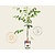 Juglans regia 'Buccaneer' - mini