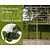 Lei-Groene Beuk - Classic - pakket 2 stuks + EXTRA'S!