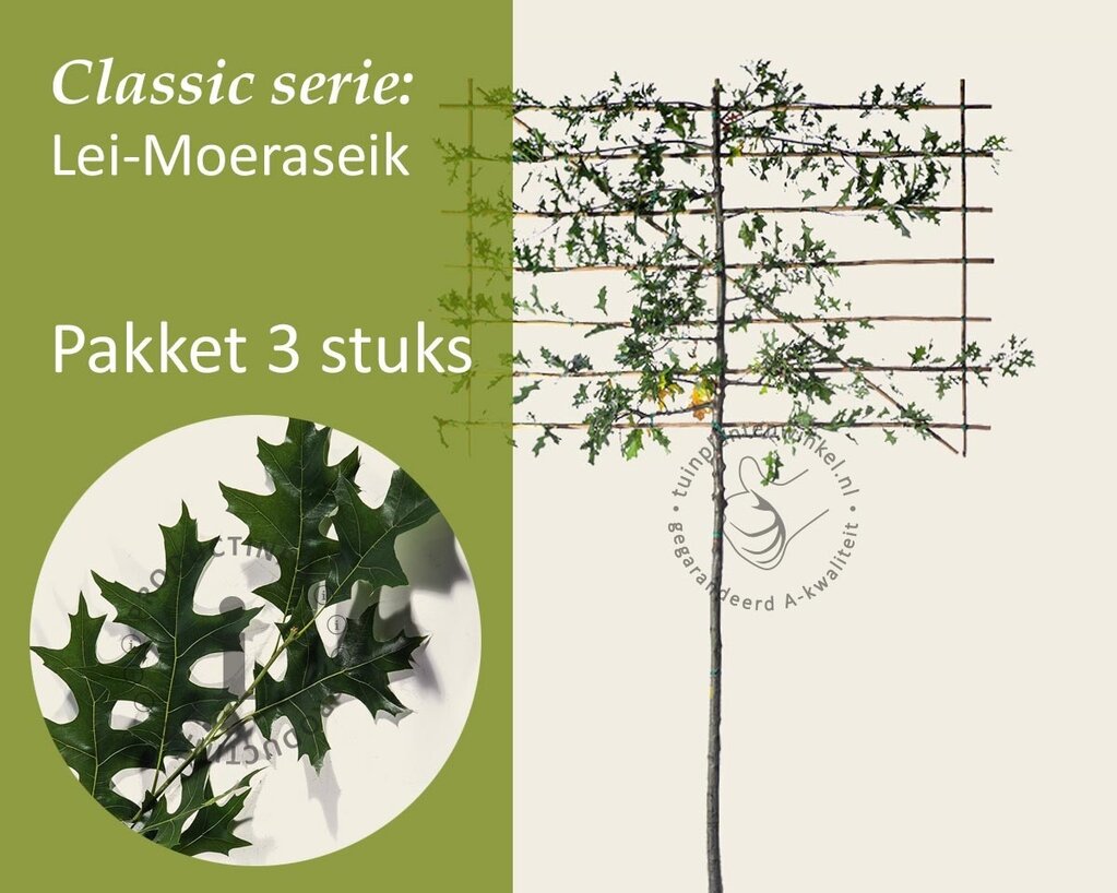 Lei-Moeraseik - Classic - pakket 3 stuks + EXTRA'S!