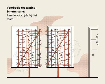 Lei-Sierappel 'Evereste' - Scherm