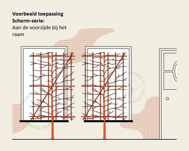 Lei-Sierappel 'Evereste' - Scherm