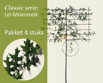 Lei-Moeraseik - Classic - pakket 4 stuks + EXTRA'S!