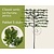 Lei-Parrotia - Classic - pakket 5 stuks + EXTRA'S!