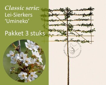 Lei-sierkers 'Umineko' - Classic - pakket 3 stuks + EXTRA'S!