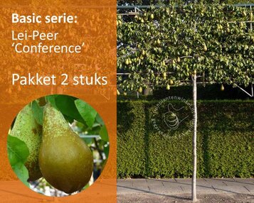Lei-Peer 'Conference' - Basic - pakket 2 stuks + EXTRA'S! image