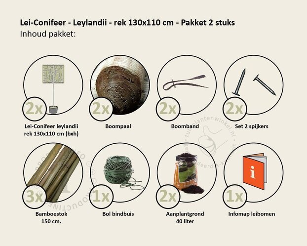 Lei-conifeer 'Leylandii'  - pakket 2 stuks + EXTRAS!