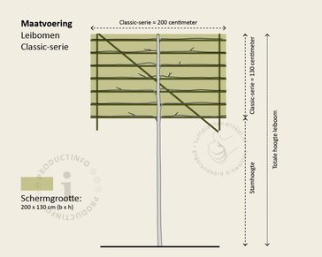 Lei-Laurier 'Caucasica' - Classic - individueel geen extra's