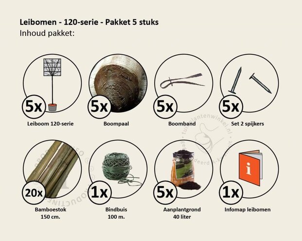 Lei-Olijfwilg - 120 - pakket 5 stuks + EXTRA'S!