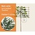Lei-Conifeer 'Excelsa' - Basic - pakket 5 stuks + EXTRA'S!