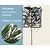 Lei-conifeer 'Leylandii' - 150 - pakket 5 stuks + EXTRAS!