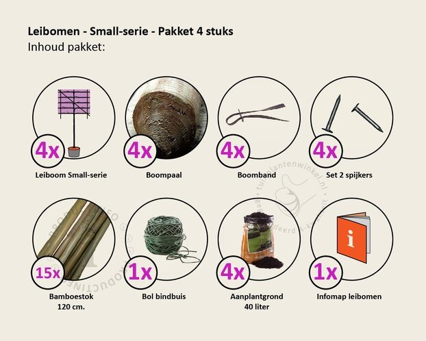 Lei-Sierappel 'Evereste' - Small - pakket 4 stuks + EXTRA'S!