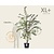 Prunus 'Accolade' - XL+
