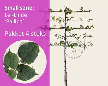 Lei-Linde - Small - pakket 4 stuks + EXTRA'S!