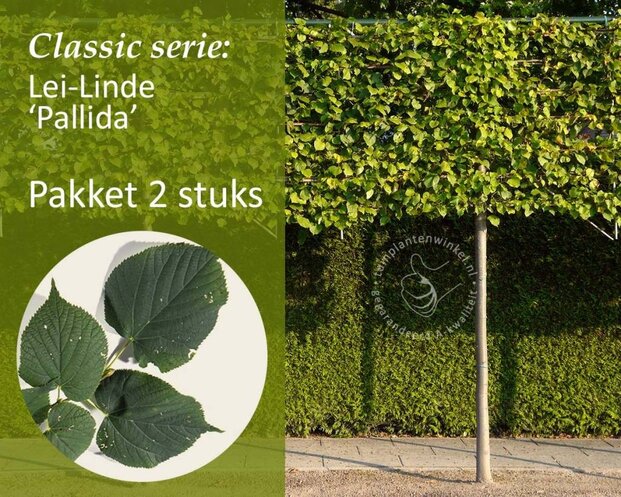 Lei-Linde - Classic - pakket 2 stuks + EXTRA'S!