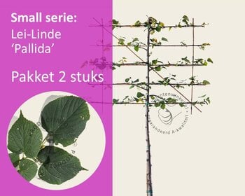 Lei-Linde - Small - pakket 2 stuks + EXTRA'S!