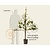 Pyrus communis 'Doyenne du Comice' - lei-vorm