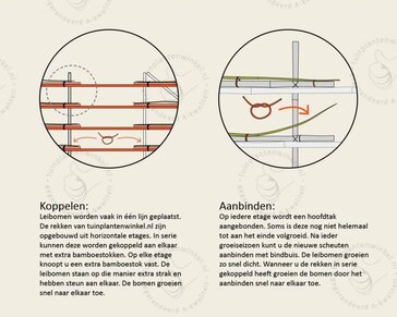 Lei-Veldesdoorn - Classic - pakket 2 stuks + EXTRA'S!