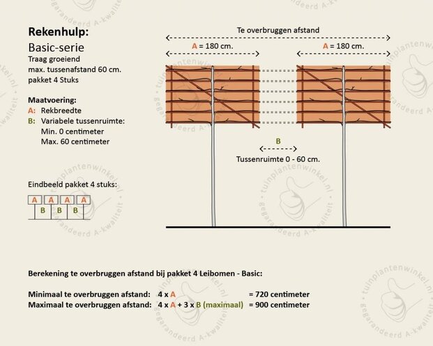 Lei-Sierappel 'Evereste' - Basic - pakket 4 stuks + EXTRA'S!