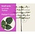 Lei-Linde - Small - pakket 5 stuks + EXTRA'S!
