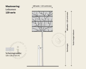 Lei-Photinia - 120 - pakket 3 stuks + EXTRAS!