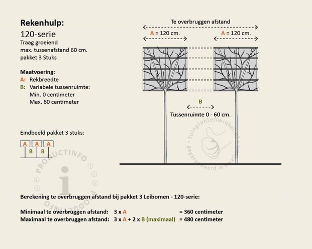 Lei-Photinia - 120 - pakket 3 stuks + EXTRAS!