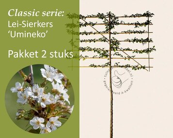 Lei-sierkers 'Umineko' - Classic - pakket 2 stuks + EXTRA'S! image