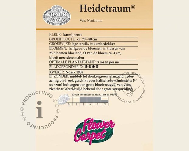Rosa Flower Carpet 'Heidetraum' - op stam