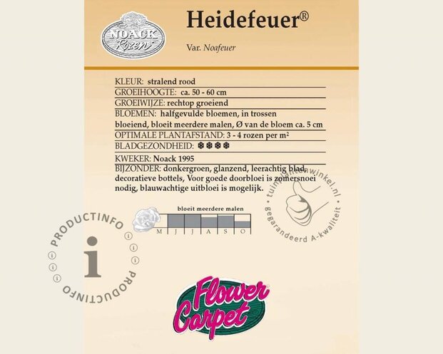 Rosa Flower Carpet 'Heidefeuer' - op stam