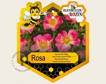Rosa 'Bijenweelde Bicolor'