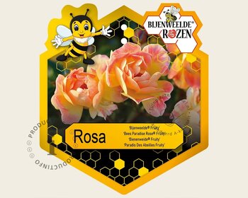 Rosa 'Bijenweelde Fruity'
