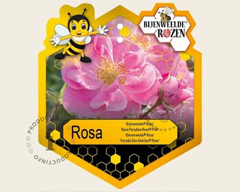 Rosa 'Bijenweelde Roze'