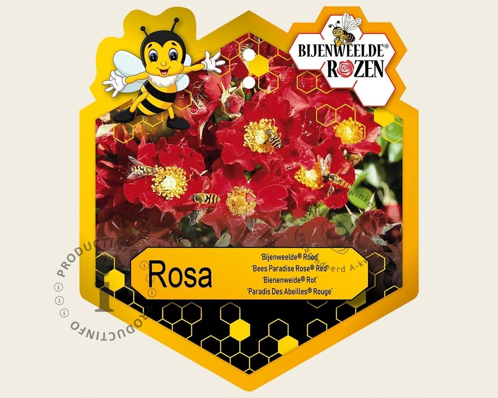 Rosa 'Bijenweelde Rood'