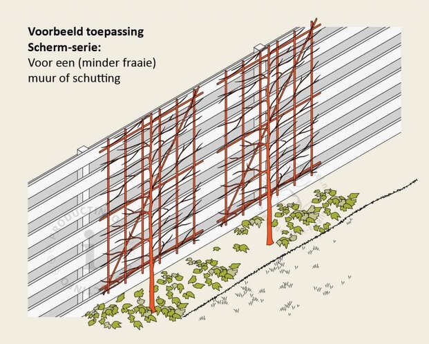 Lei-Appel 'Elstar' - Scherm