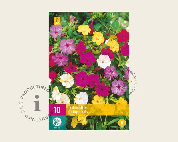 Mirabilis jalapa Mix