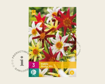 Dahlia Honka Mix