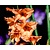 Gladiolus 'Peter Pears'