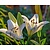 Lilium 'Kent'