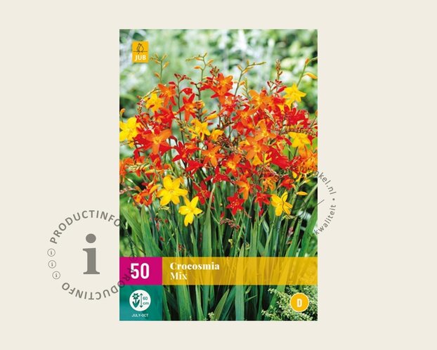 Crocosmia Mix - knol