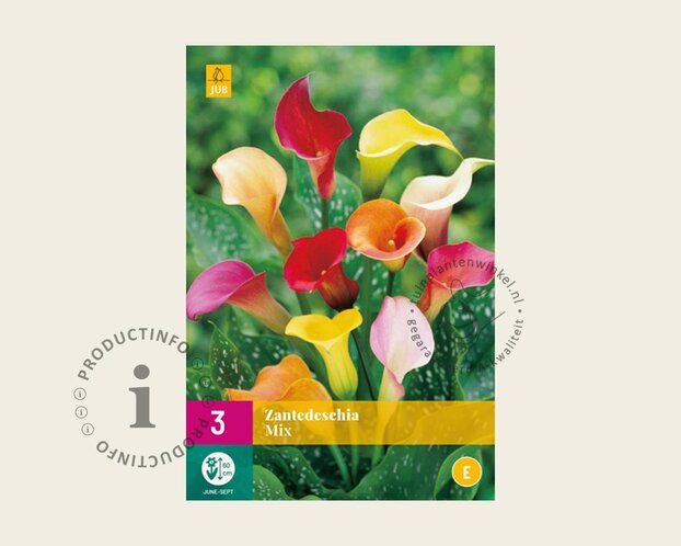 Zantedeschia Mix