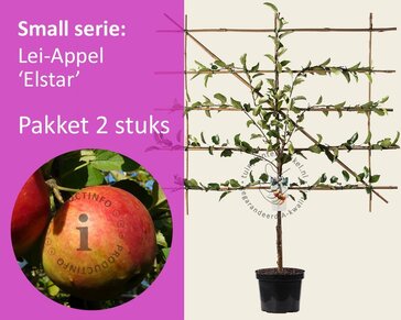 Lei-Appel 'Elstar' - Small - pakket 2 stuks + EXTRA'S
