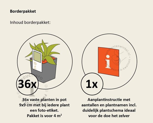 Borderpakket Aurantia zon-halfschaduw - (pakket 04)