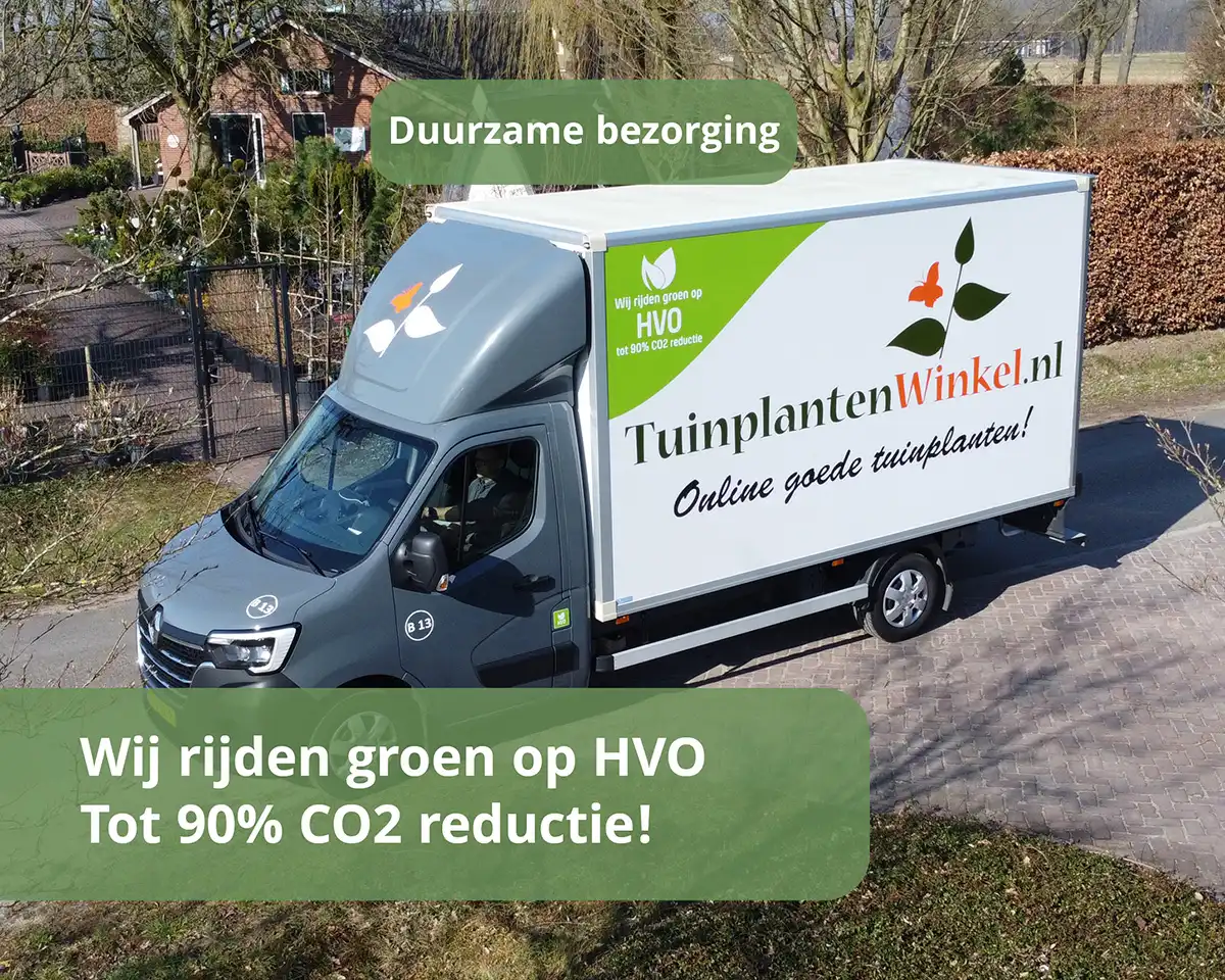 Duurzaam bezorgd