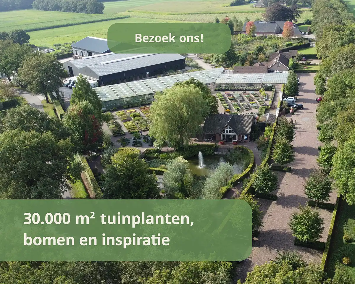 Bezoek